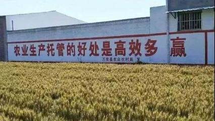 農(nóng)業(yè)托管模式再啟新篇 45億補(bǔ)貼落地，六成紅利直抵農(nóng)民腰包